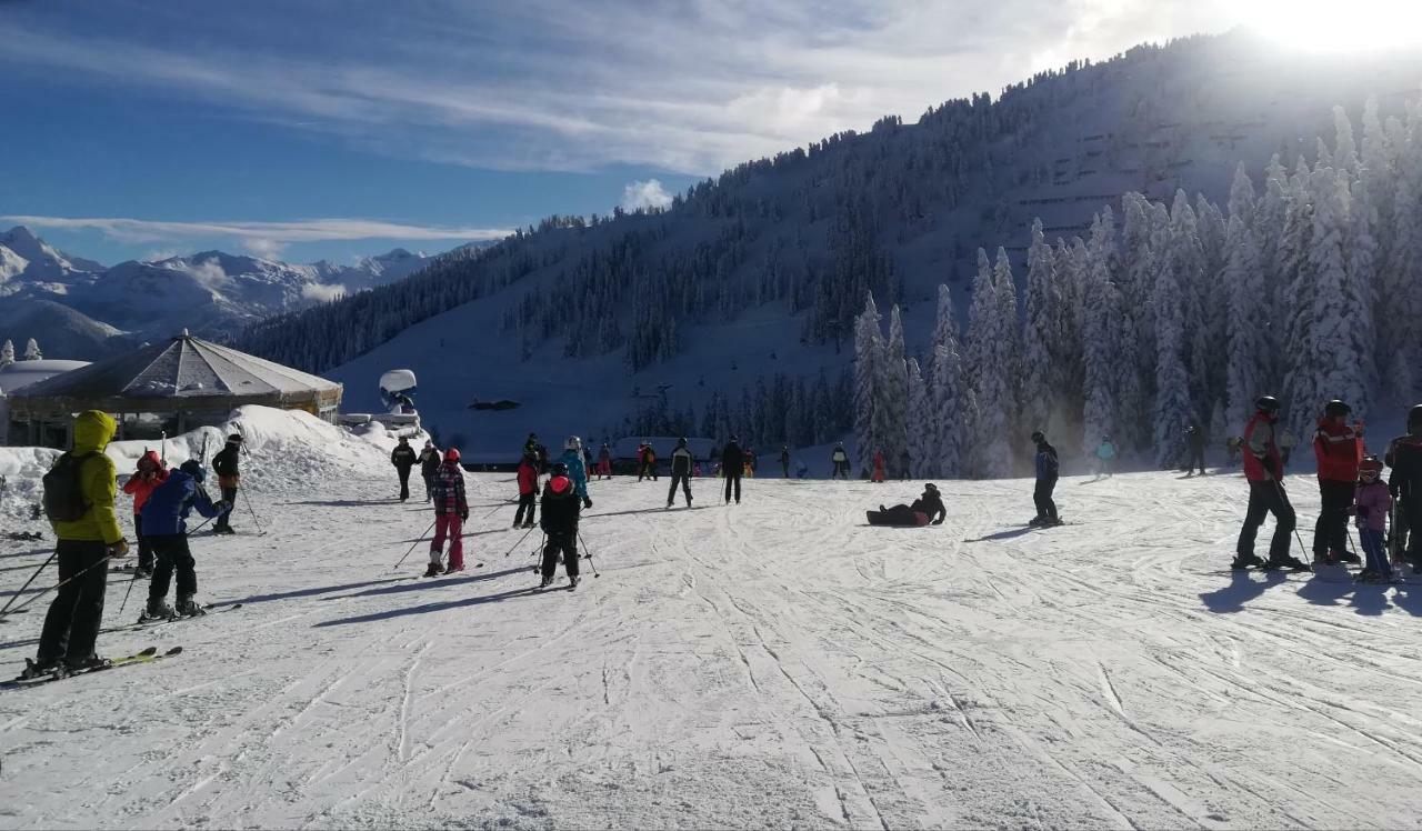 Apart Gerlossteinblick Aschau Im Zillertal Extérieur photo